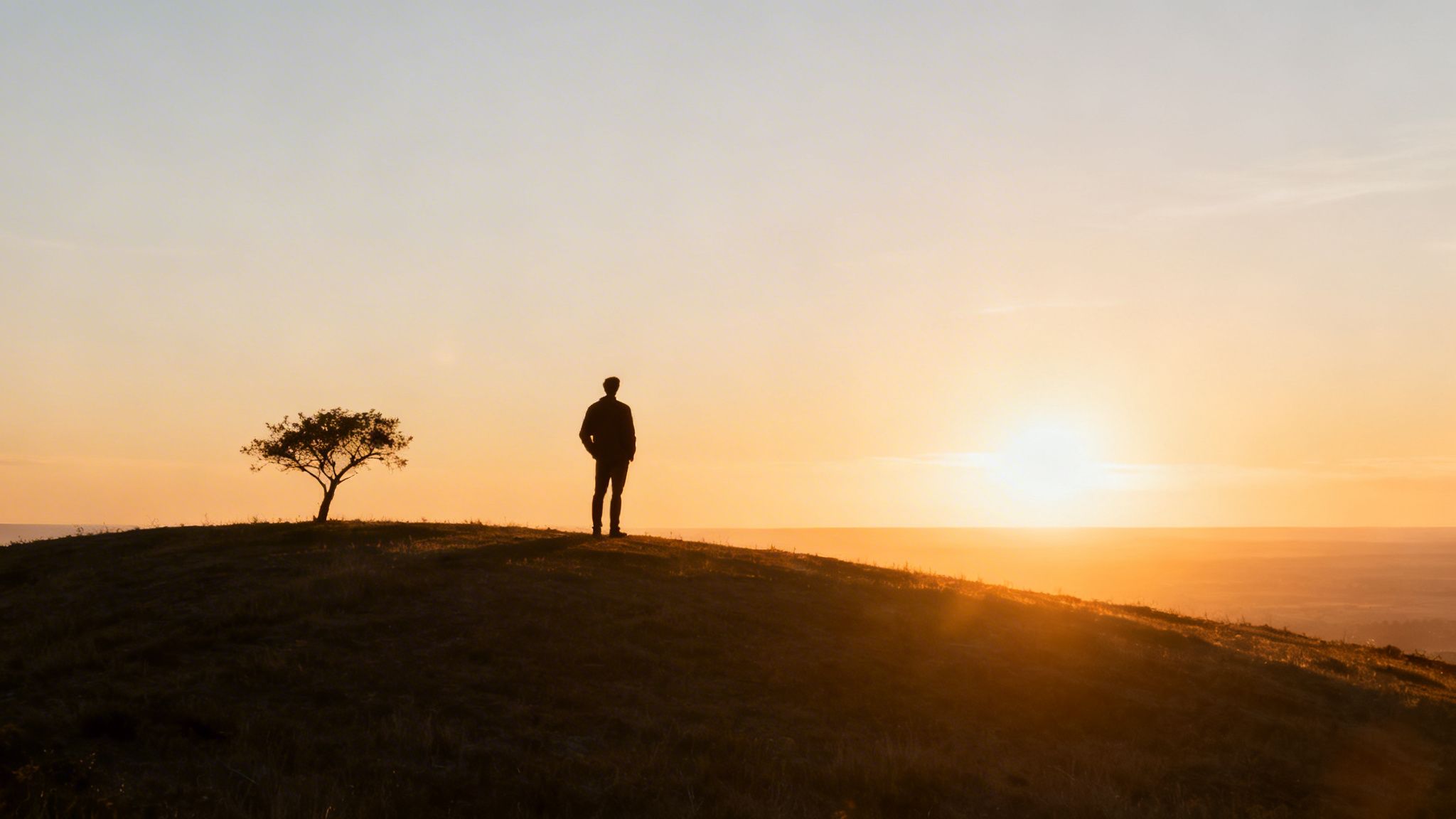 Silhouette of a man and a solitary tree on a hill at a beautiful sunset.